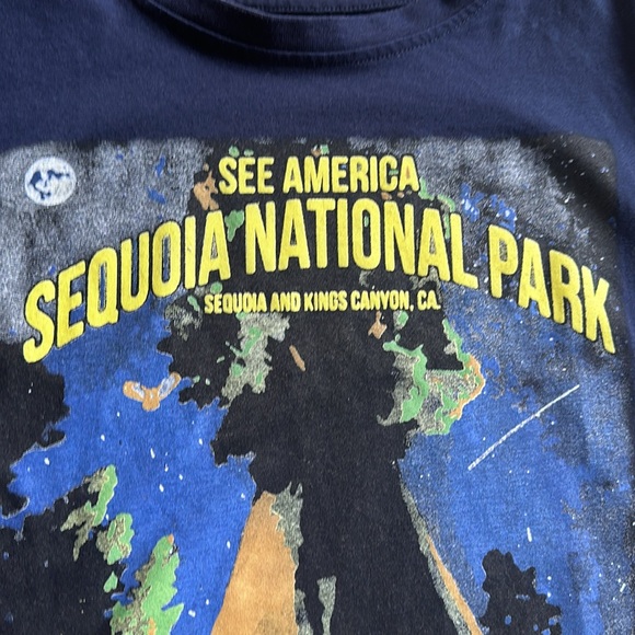 Creative Action Network Womens T Shirt Medium Sequoia National Park Soft size L - Picture 6 of 7